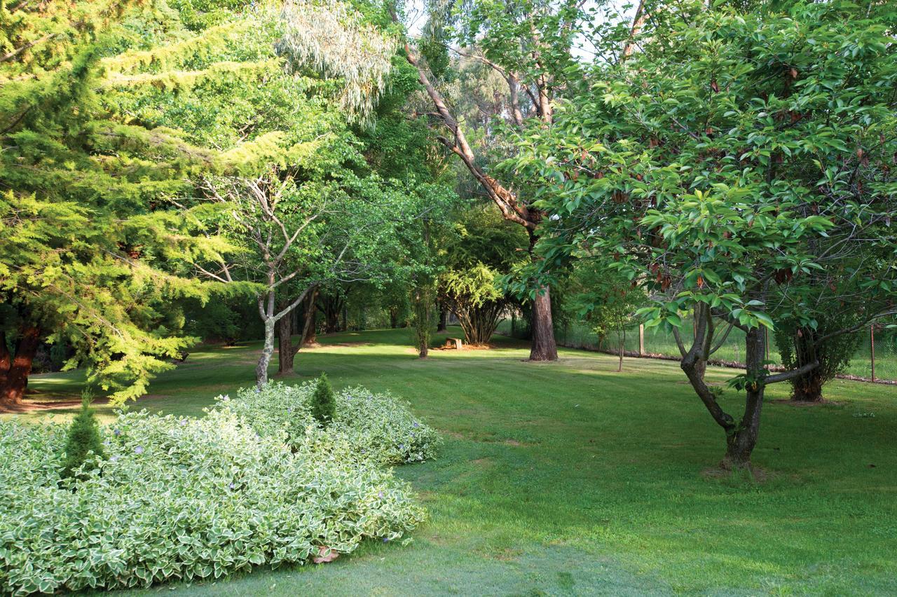 Clifton Gardens Bed & Breakfast - Orange Buitenkant foto